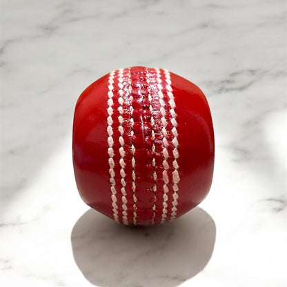 Seem Practice Cricket Ball
